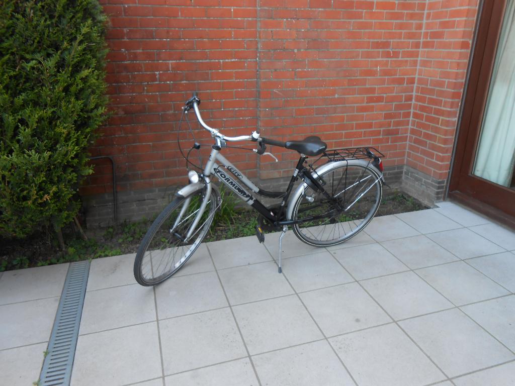 DAMESFIETS     6V, Ophalen, Gebruikt