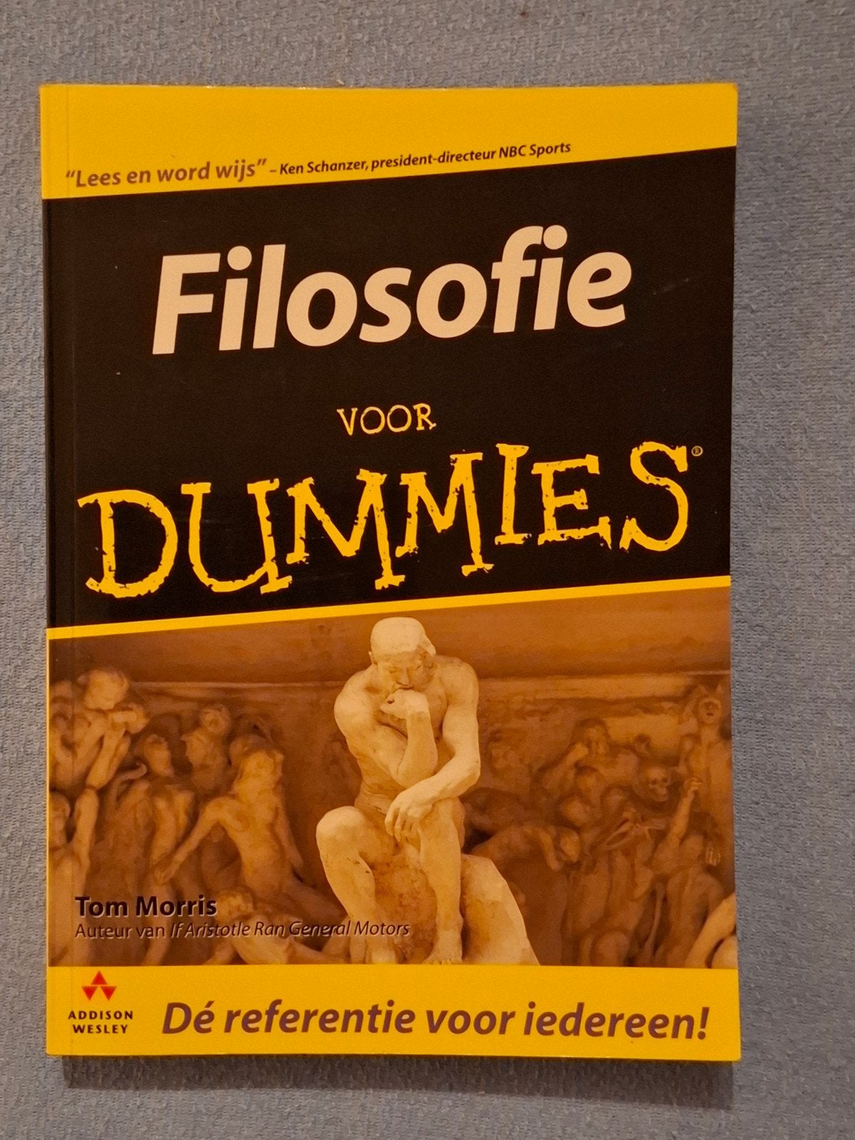 Filosofie voor dummies, Boeken, Ophalen of Verzenden, Zo goed als nieuw, Algemeen