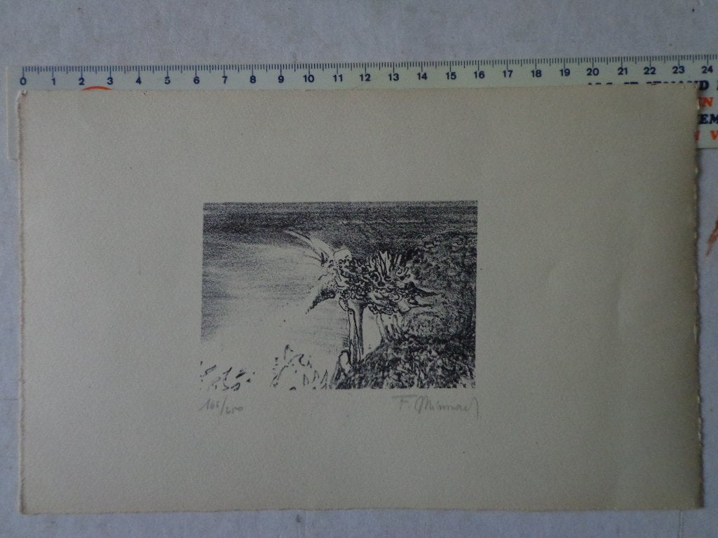 ongewone surrealistische litho van Frans Minnaert, Gelimiteerde oplage, Ophalen of Verzenden, Lithografie