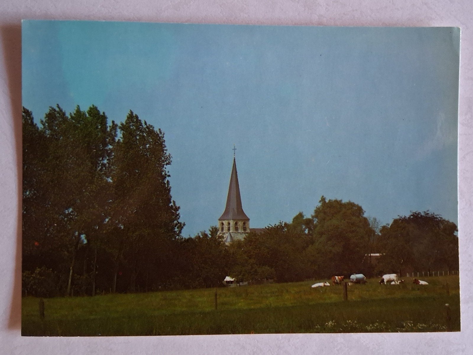 postkaart Baardegem, Collections, Enlèvement ou Envoi