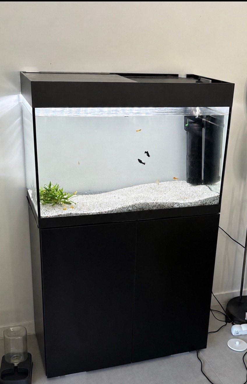Aquarium te koop, Ophalen, Zo goed als nieuw, Filter