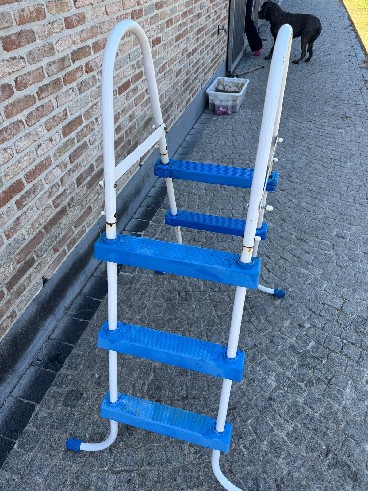 Ladder voor zwembad, Tuin en Terras, Ophalen, Zo goed als nieuw, Ladder