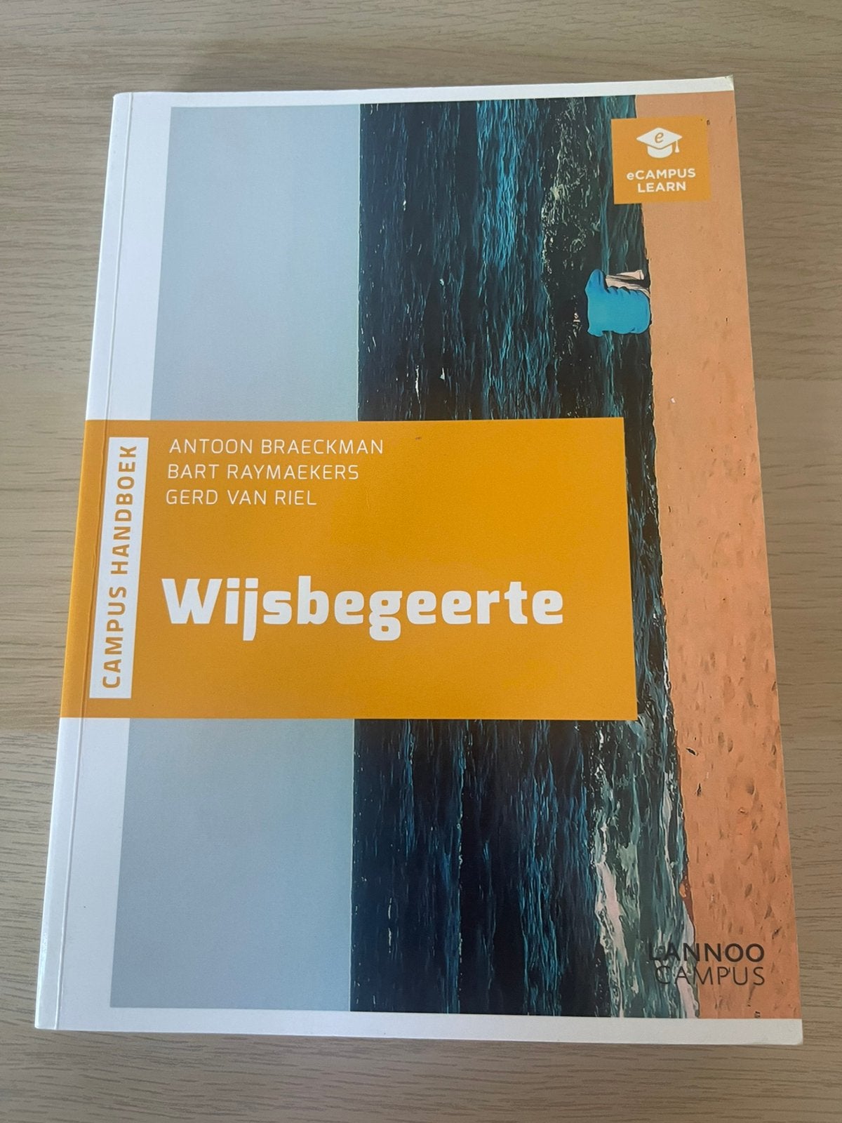 Bart Raymaekers - Philosophie, Enlèvement, Bart Raymaekers; Gerd van Riel; Anton Braeckman