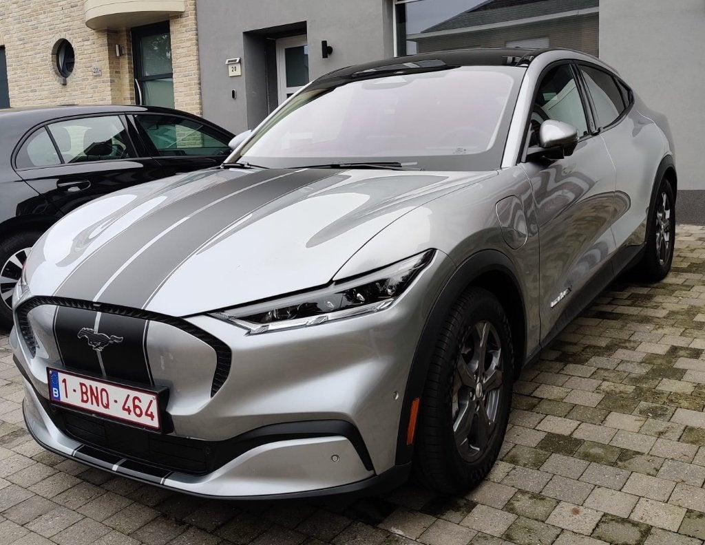 Mustang Mach E, Autos, Ford, Cuir, Argent ou Gris, Achat, Euro 6