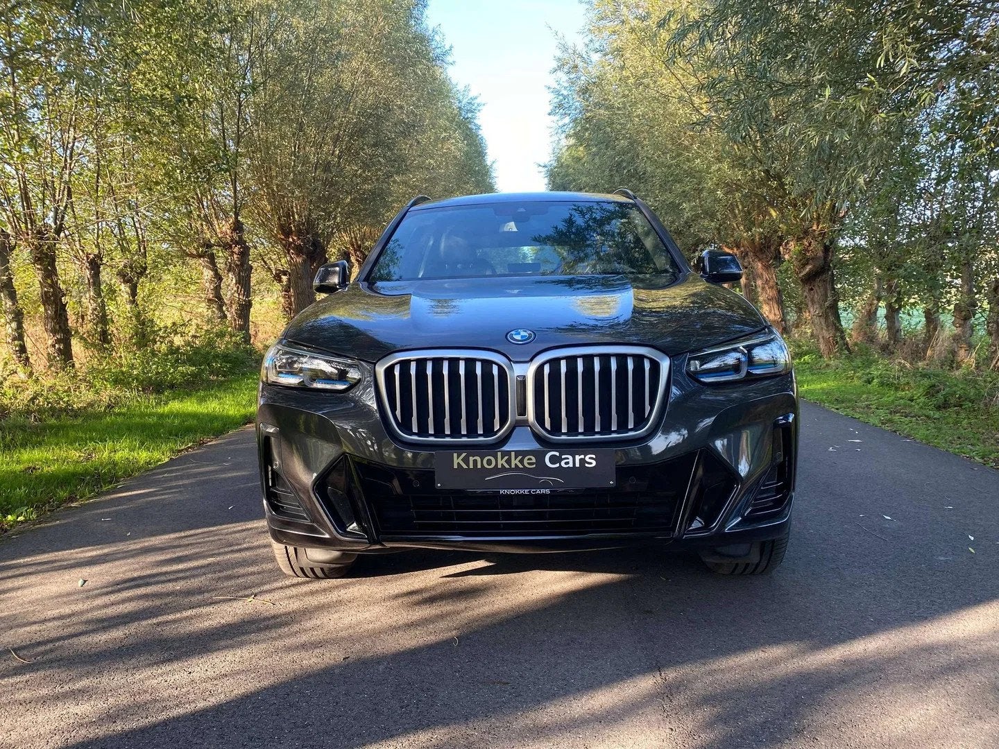 BMW X3 2.0i xDrive30e,Parkeerhulp met camera,Head-Up Display, Autos, Cuir, Achat, Noir, 5 portes