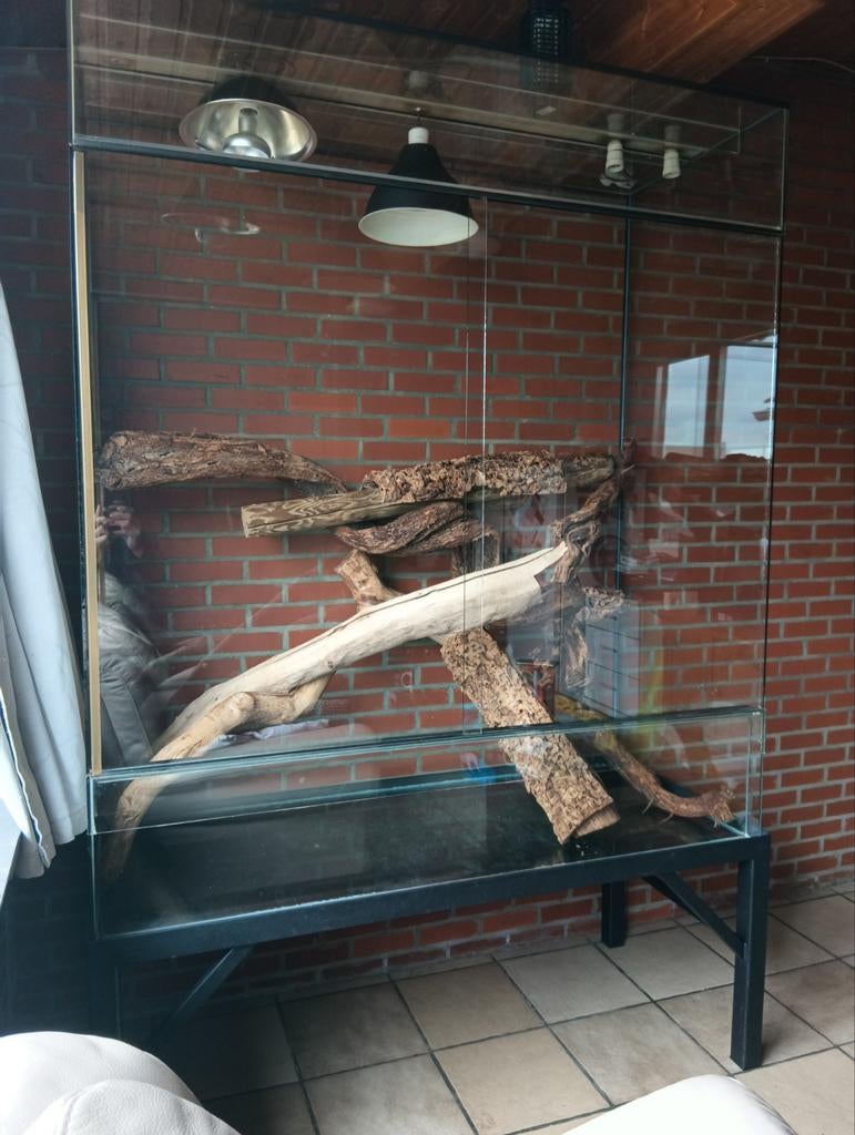 Zeer mooie grote glazen terrarium, Dieren en Toebehoren, Ophalen