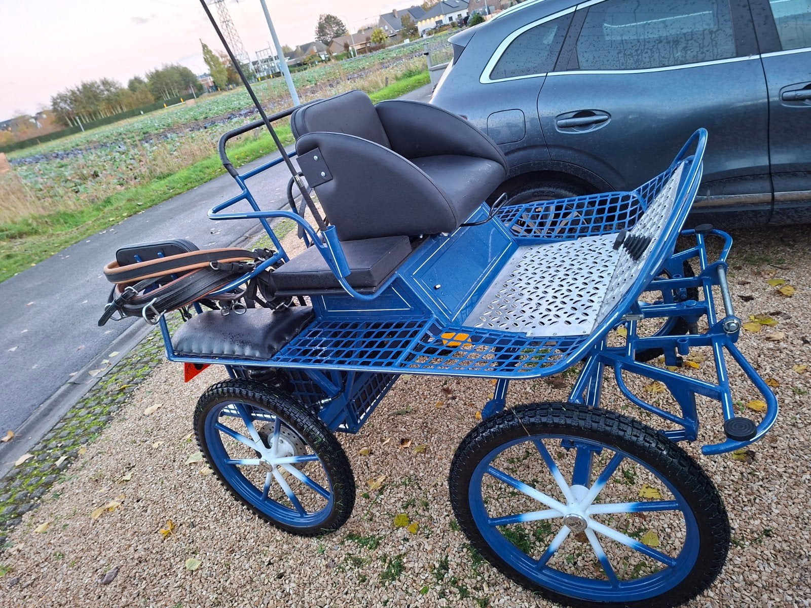Pony Marathon wagen 21 inch, Poney