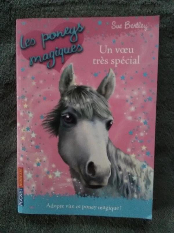 „The Magic Ponies - Een heel speciale wens” Sue Bentley, Gelezen, Ophalen of Verzenden, Sue Bentley, Fictie algemeen