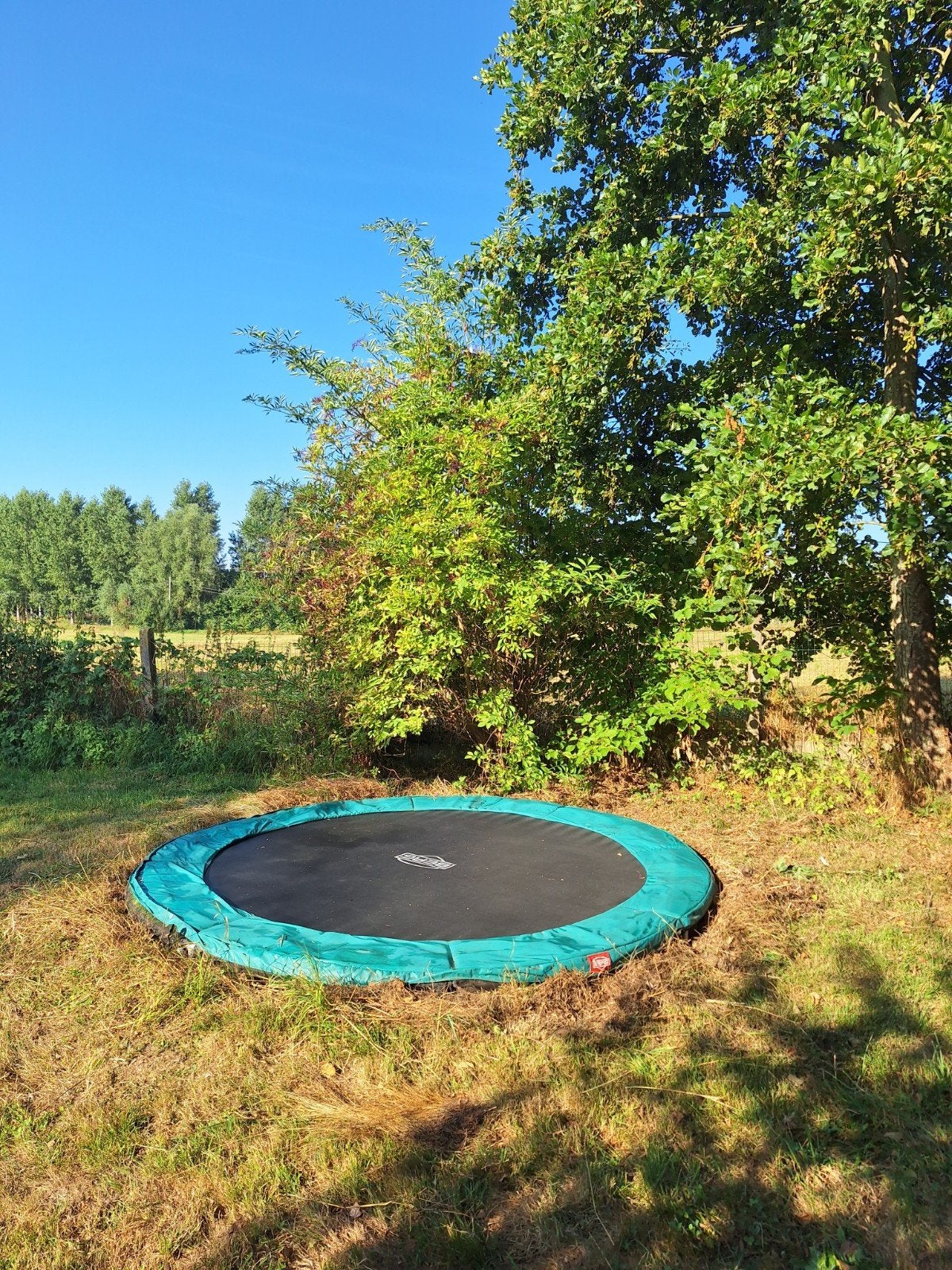 trampoline inground Berg 330 Favorit, Enfants & Bébés, Jouets | Extérieur | Trampolines, Enlèvement, Utilisé