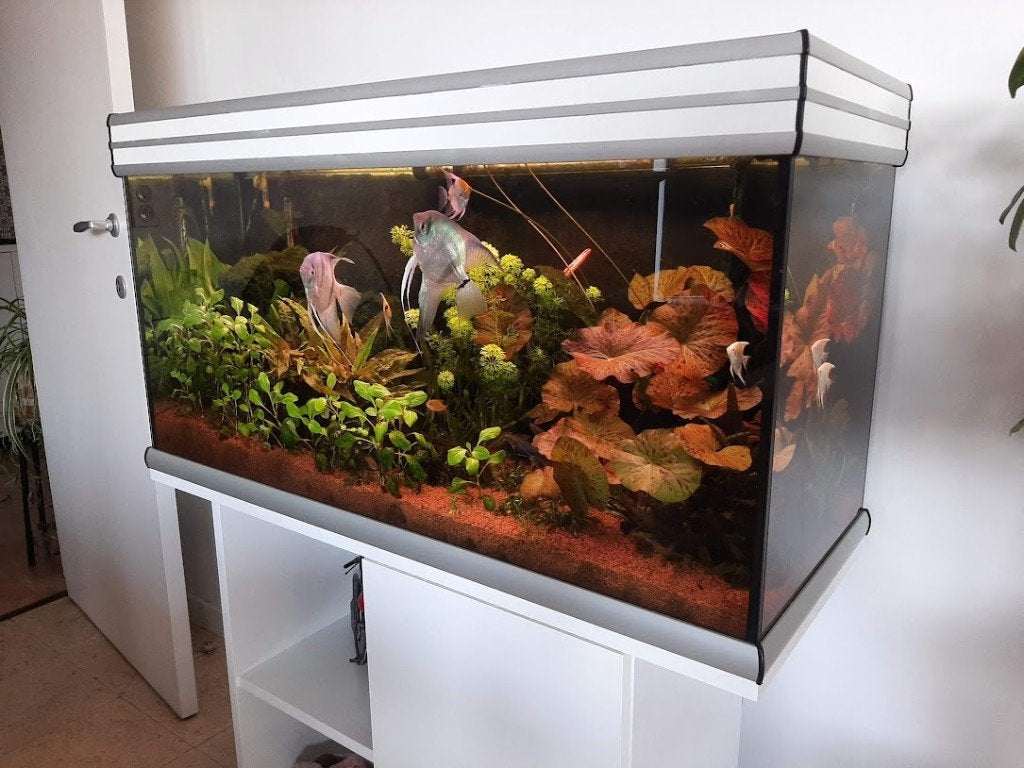 Aquarium 194L, Dieren en Toebehoren, Ophalen, Gebruikt, Leeg aquarium, Aquatlantis