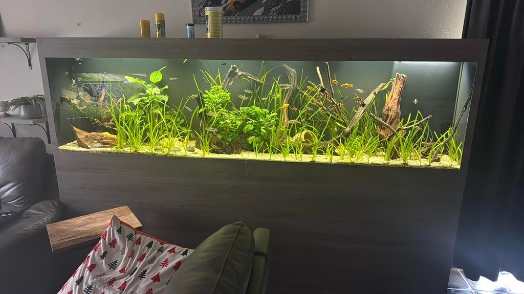 Aquarium aqua life, Dieren en Toebehoren, Ophalen, Inclusief vissen, Zo goed als nieuw, Gevuld zoetwateraquarium