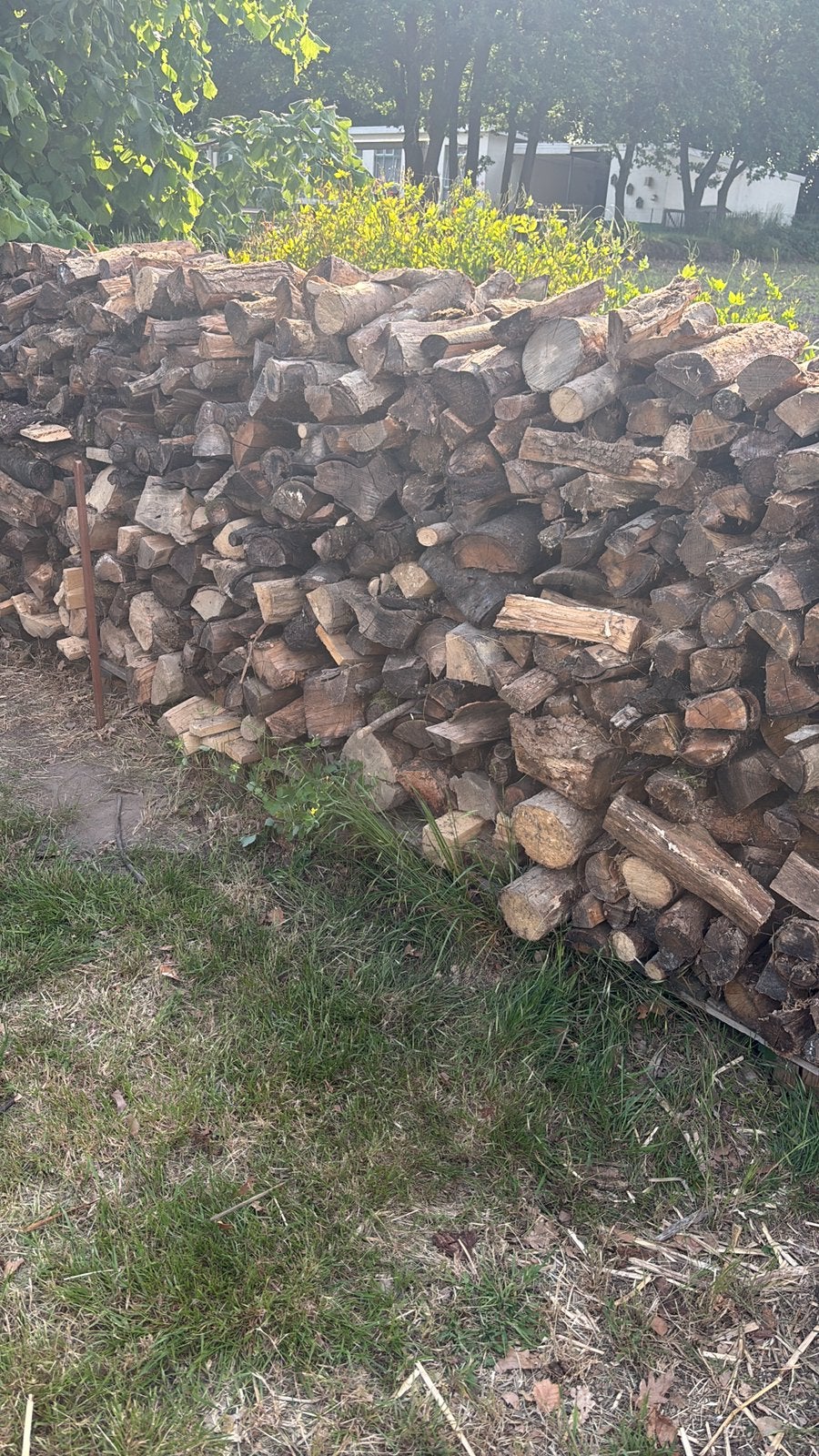 Hout te koop, Enlèvement