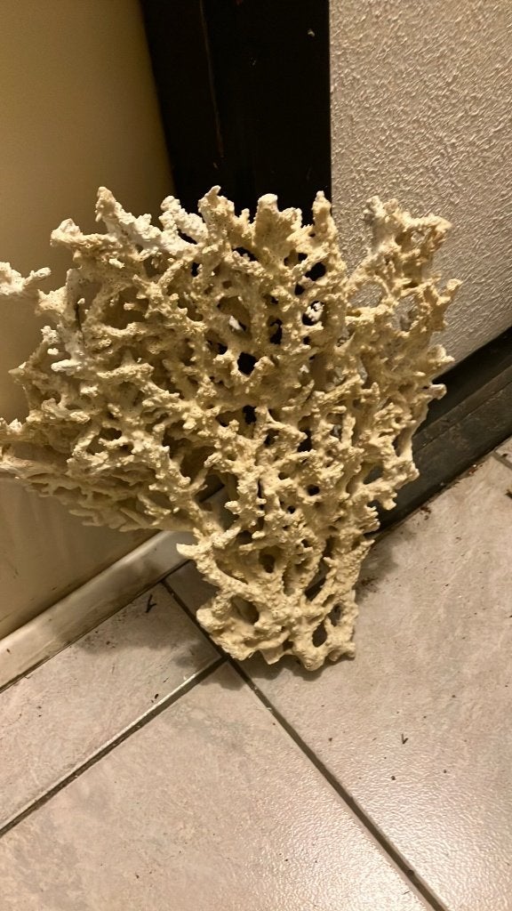 vissen, Dieren en Toebehoren, Ophalen, Zo goed als nieuw, Decoratie