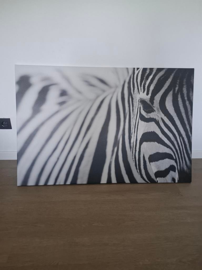 Canvas Ikea - Zebra, Enlèvement