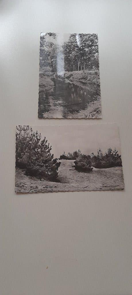 2 postkaarten kasterlee duinen zwarte berg zicht nete, Verzamelen, Ophalen of Verzenden, Ongelopen
