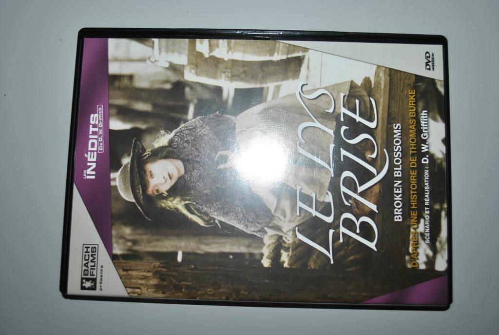 DVD "Lys brisé"/Griffith/Gish Comme neuf, Enlèvement ou Envoi, Comme neuf