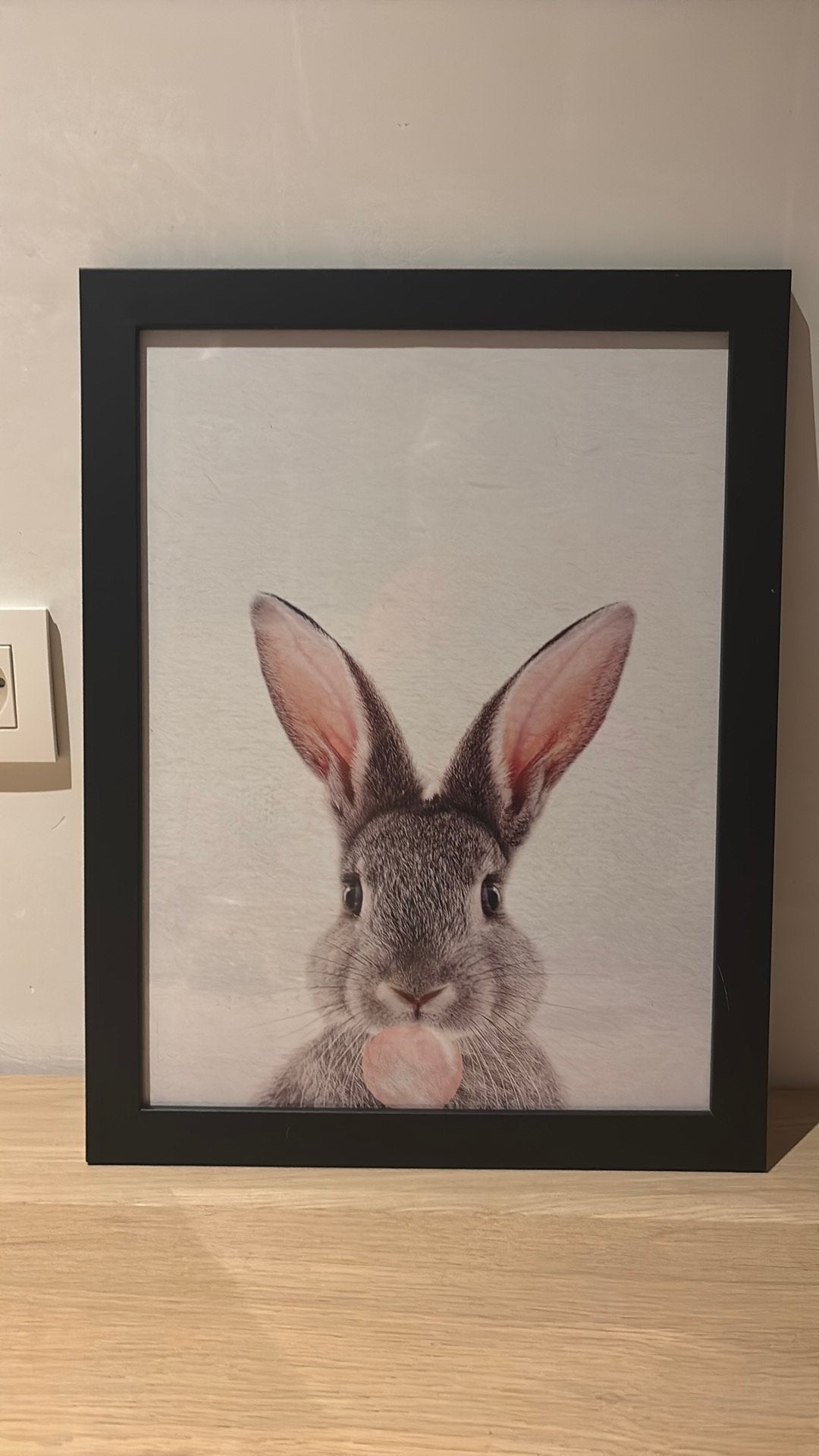 Fotokader konijn, Enlèvement, Comme neuf