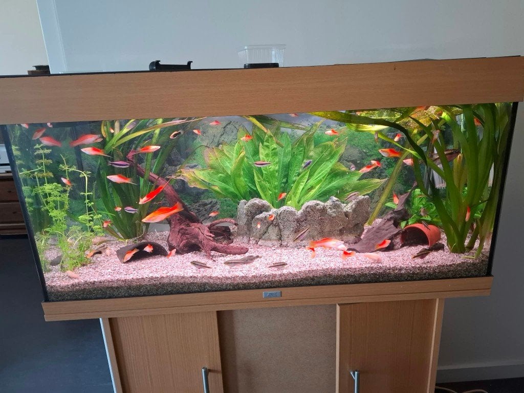 aquarium, Dieren en Toebehoren, Ophalen, Decoratie, Gebruikt, Pomp