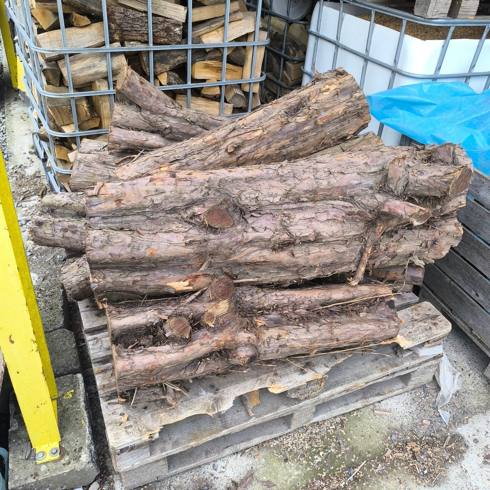 Taxus hout, ideaal voor draaiwerk, Ophalen