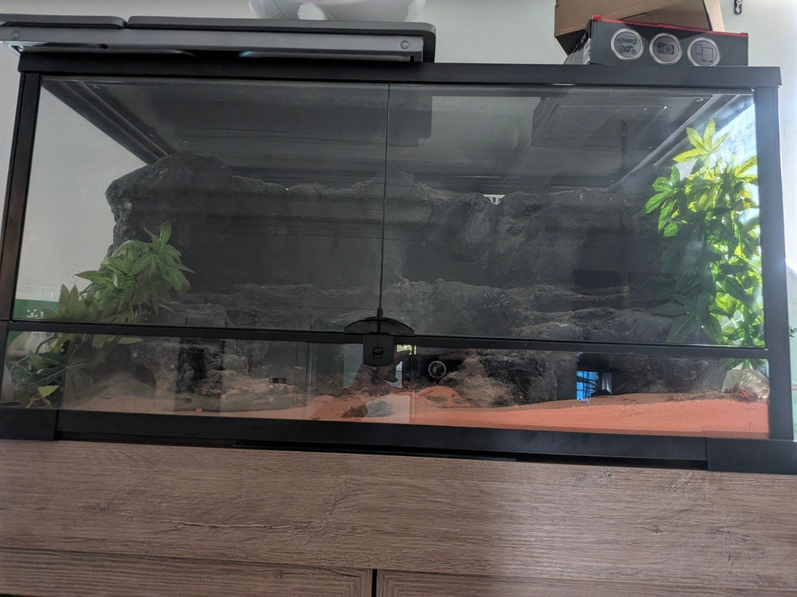 terrarium, Dieren en Toebehoren, Ophalen
