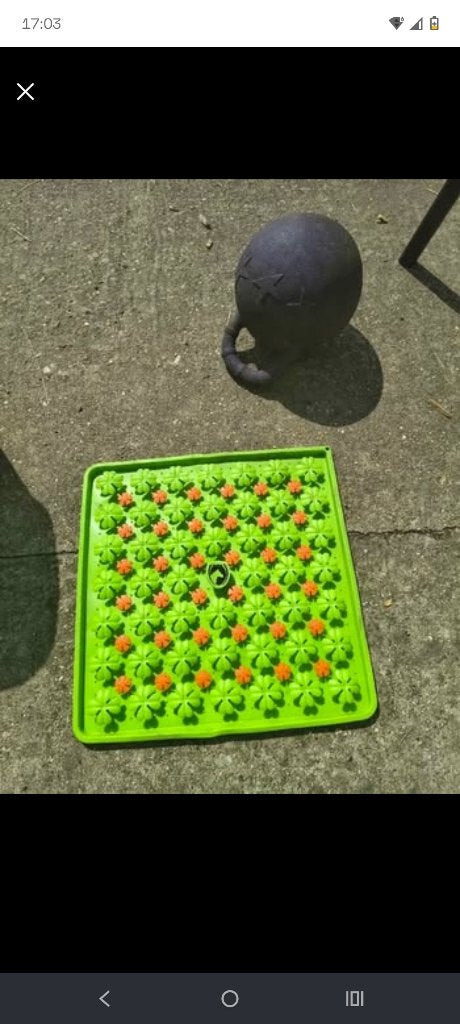 Speelbal en snuffelmat paarden, Ophalen, Nieuw