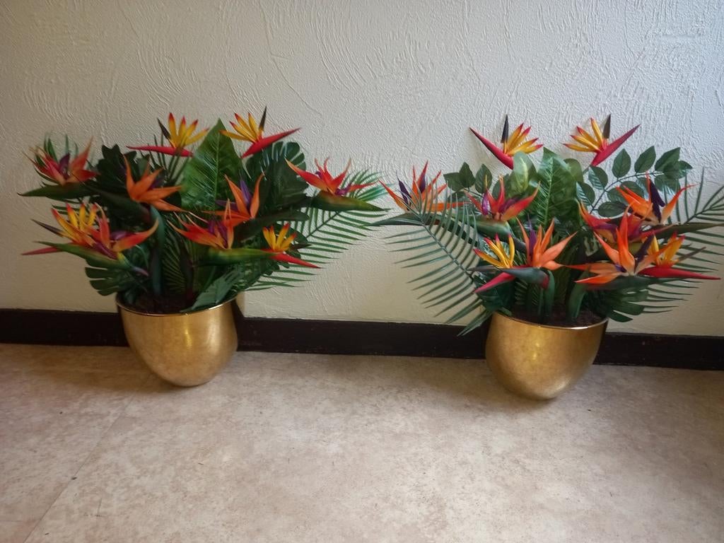 Deux Plantes oiseaux du paradis, plus un pot vide, Enlèvement