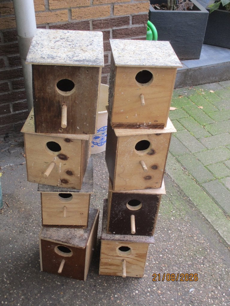 8 Kweekblokjes voor grasparkieten, Ophalen, Gebruikt, Hout, Overige typen