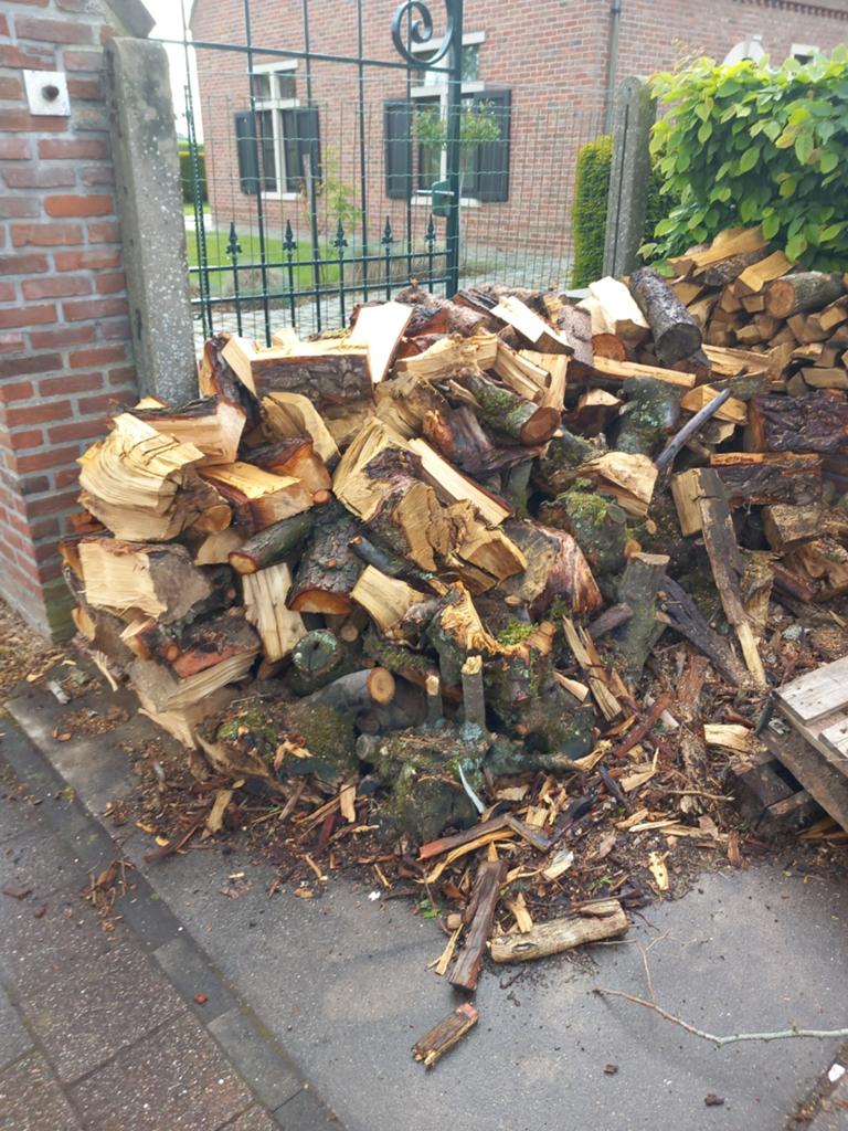 Bois de chauffage (sapin), Enlèvement, Autres essences de bois, Bûches