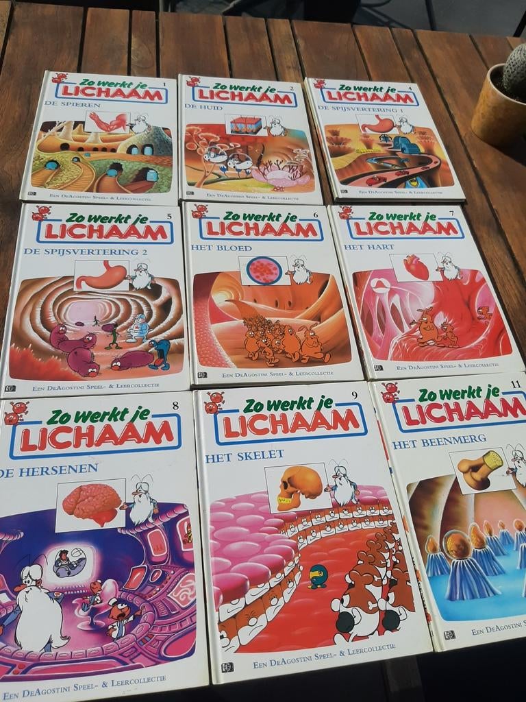 Zo werkt je lichaam, Ophalen of Verzenden, Gelezen