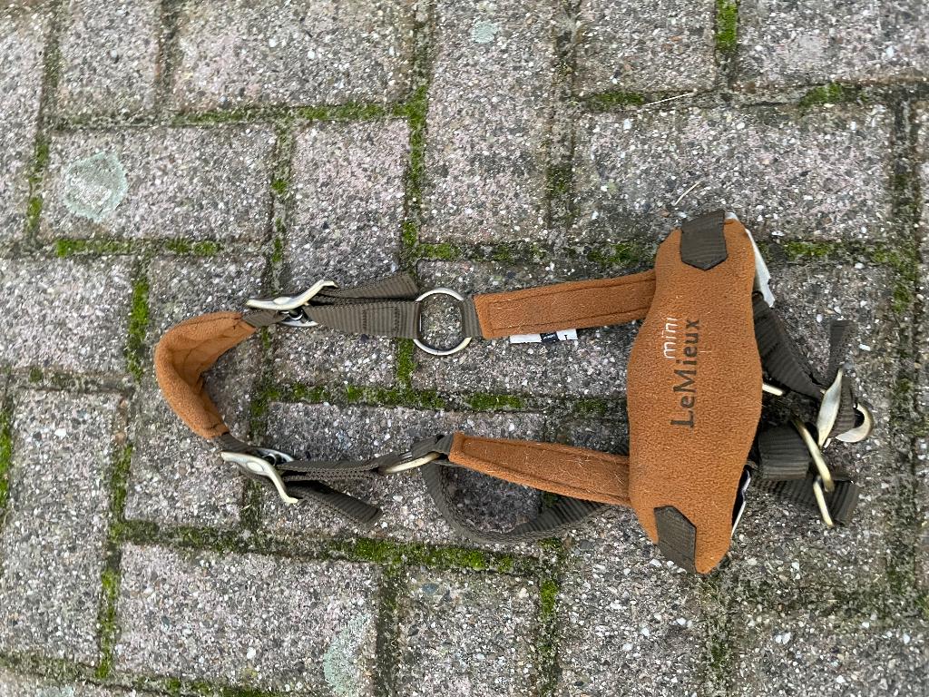 Mini Lemieux halster, Enlèvement ou Envoi, Neuf