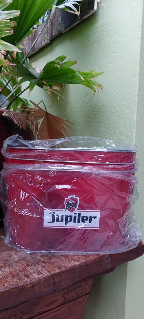 Nouveaux seaux à glace Jupiler, Collections, Marques de bière, Enlèvement ou Envoi, Neuf, Autres types, Jupiler