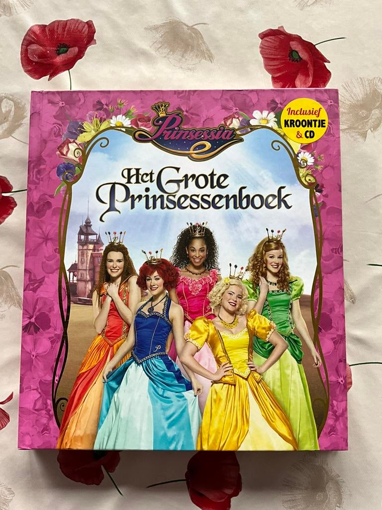 Het grote prinsessenboek, prinssesia met 4 knuffels, Ophalen, Gert Verhulst, Zo goed als nieuw, Sprookjes
