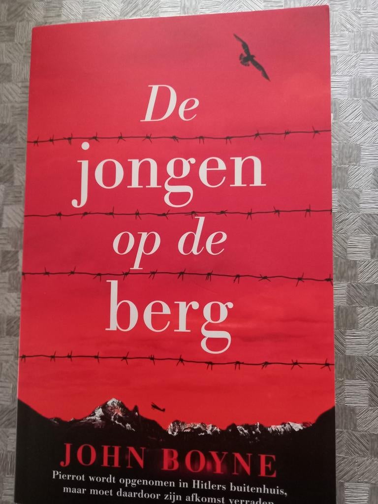 De jongen op de berg. John Boyne, Ophalen of Verzenden, Zo goed als nieuw