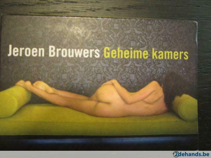 Geheime kamers ( Jeroen Brouwers ), Livres, Langue | Anglais, Utilisé, Enlèvement ou Envoi