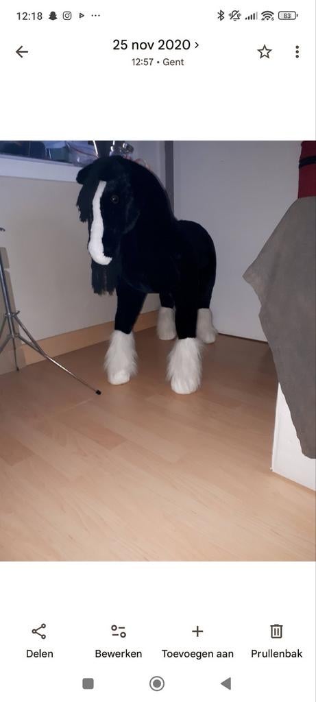 Speelgoed paard. Maakt geluid, Enlèvement