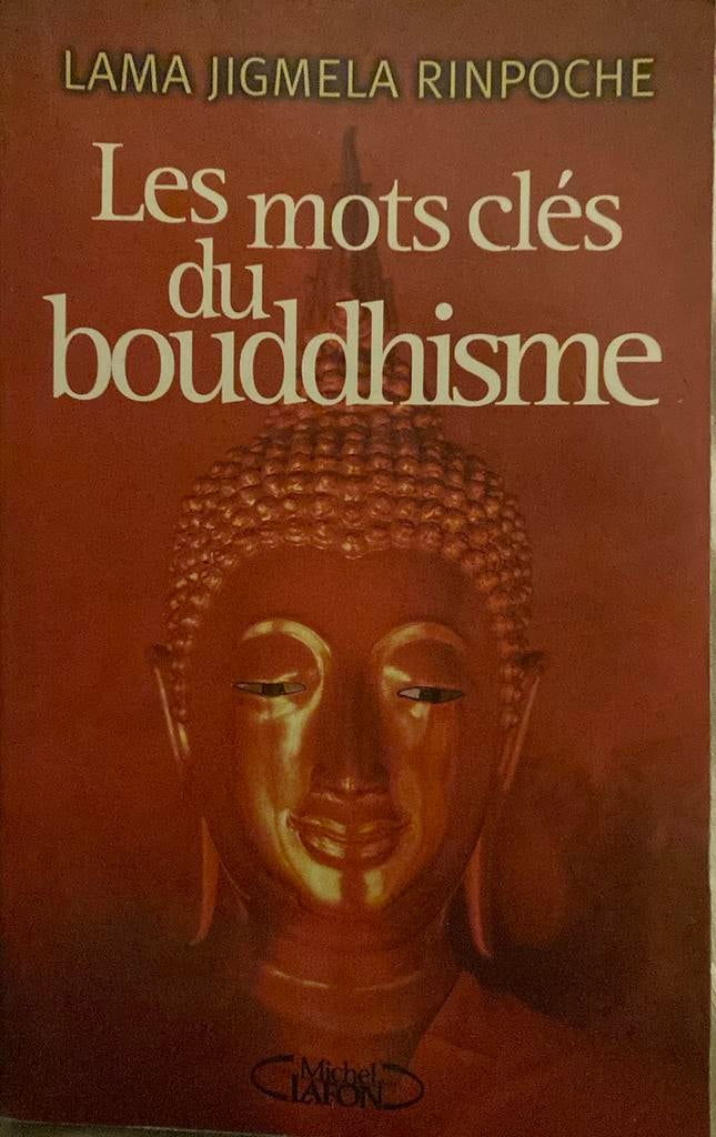Lama jigmeka rinpoche les mots clés du bouddhisme, Enlèvement ou Envoi, Comme neuf