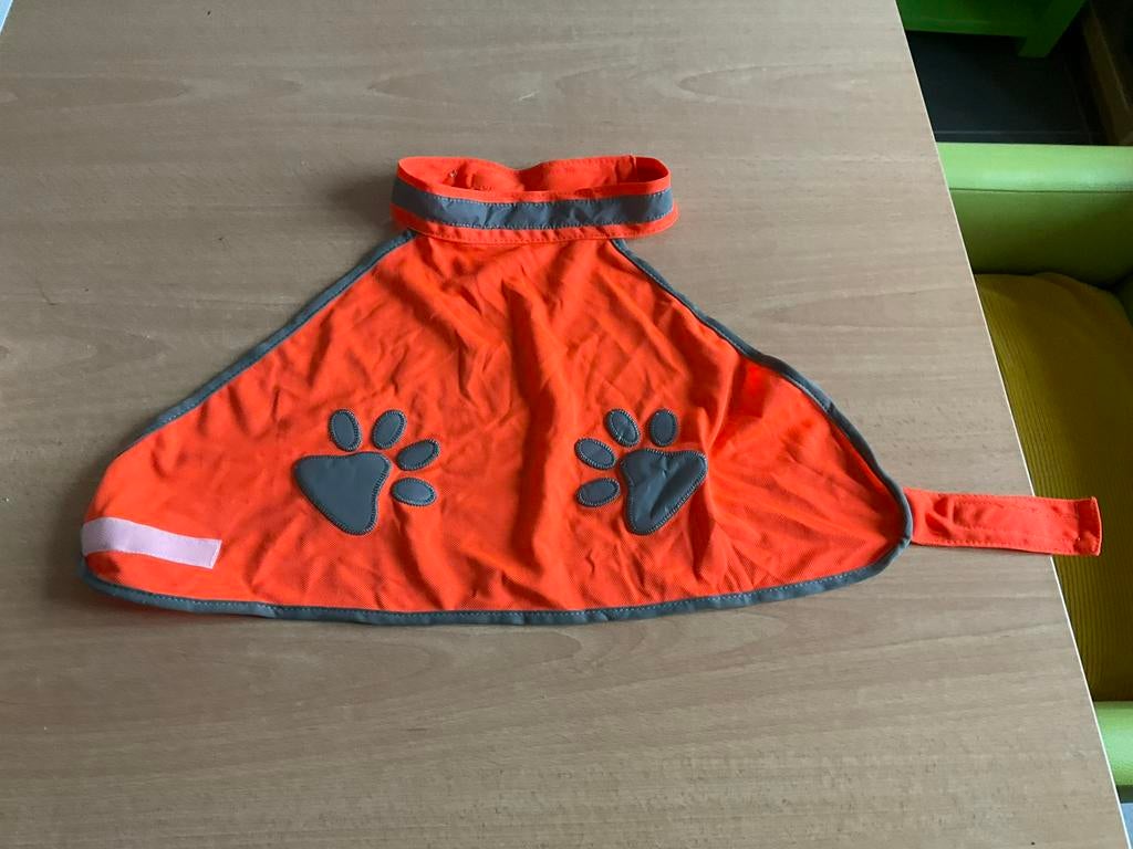 Oranje fluohesje, 31cm, Dieren en Toebehoren, Hondenkleding, Ophalen of Verzenden, Zo goed als nieuw, Overige hondenkleding
