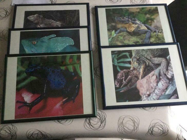 Cadres  3 pièces, Neuf