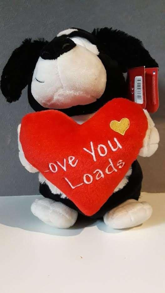 Valentijn Verliefde knuffel hondje, beren ..... -, Kinderen en Baby's, Speelgoed | Knuffels en Pluche, Ophalen of Verzenden, Zo goed als nieuw