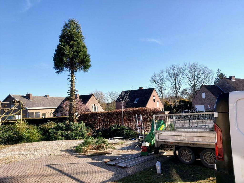 Grondwerken , klinkerwerken,afbraakwerken,, maaien, Diensten en Vakmensen