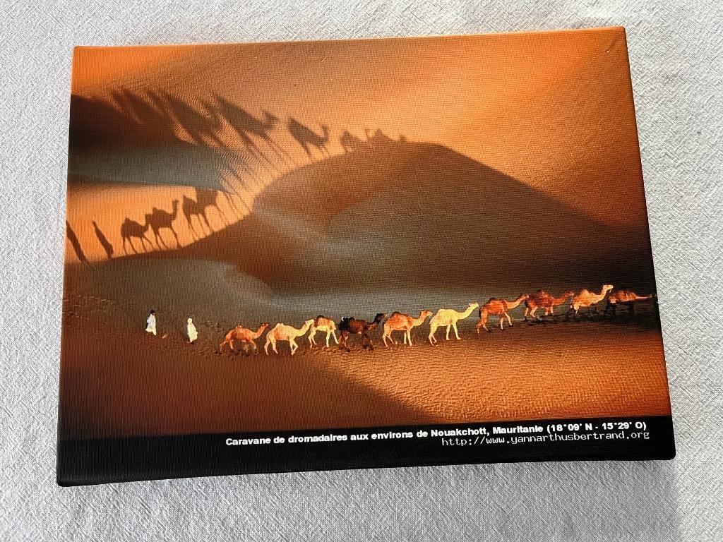 Photo sur toile caravane de dromadaires, Enlèvement, Neuf, Moins de 50 cm, Imprimé