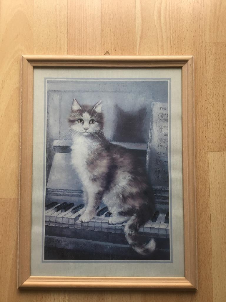 Kader poes., Ophalen, Zo goed als nieuw, Minder dan 50 cm, Minder dan 50 cm