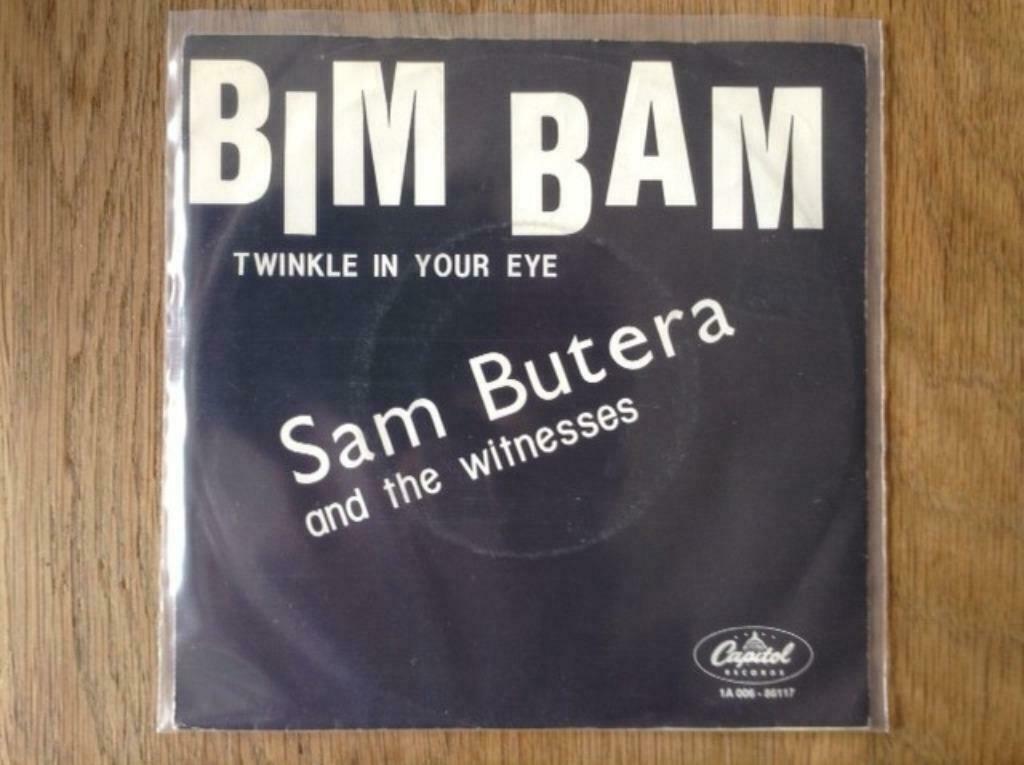 single sam butera and the witnesses, Ophalen of Verzenden, Rock en Metal