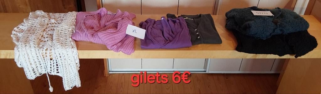 Veel vesten en truien in grote maten, in zeer goede staat, Kleding | Dames, Ophalen of Verzenden, Gedragen