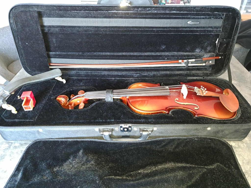 Viool - Studie-instrument, Violon, Violon 4/4, Utilisé, Enlèvement