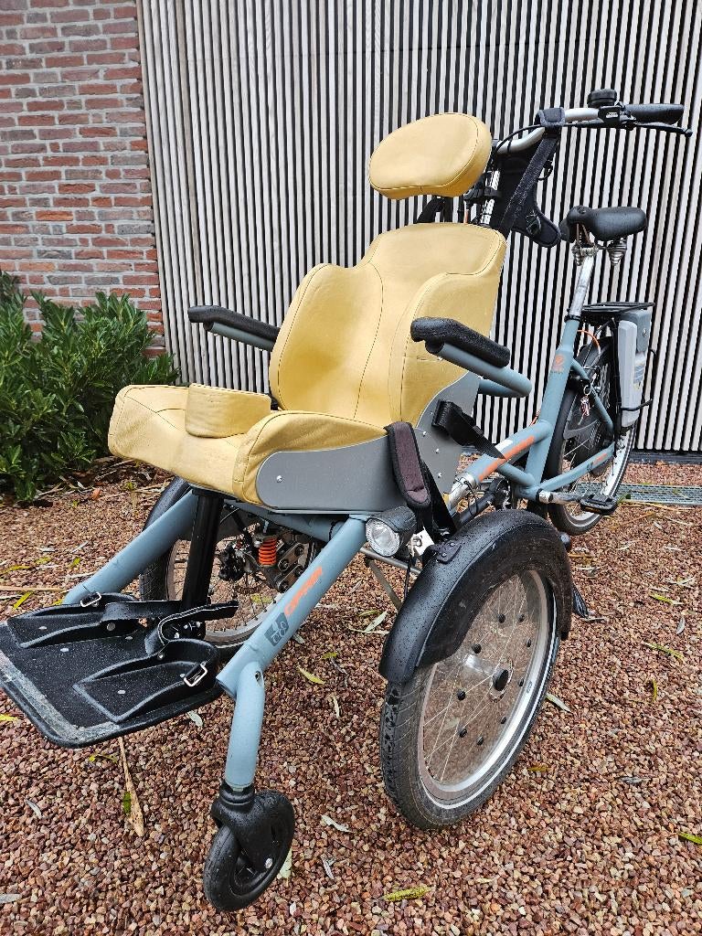 Elektrisch aangedreven Van Raam O-pair, Ophalen, Zo goed als nieuw, Vanraam