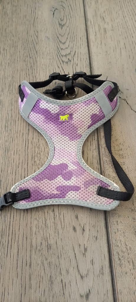 Honden halsband., Dieren en Toebehoren, Ophalen