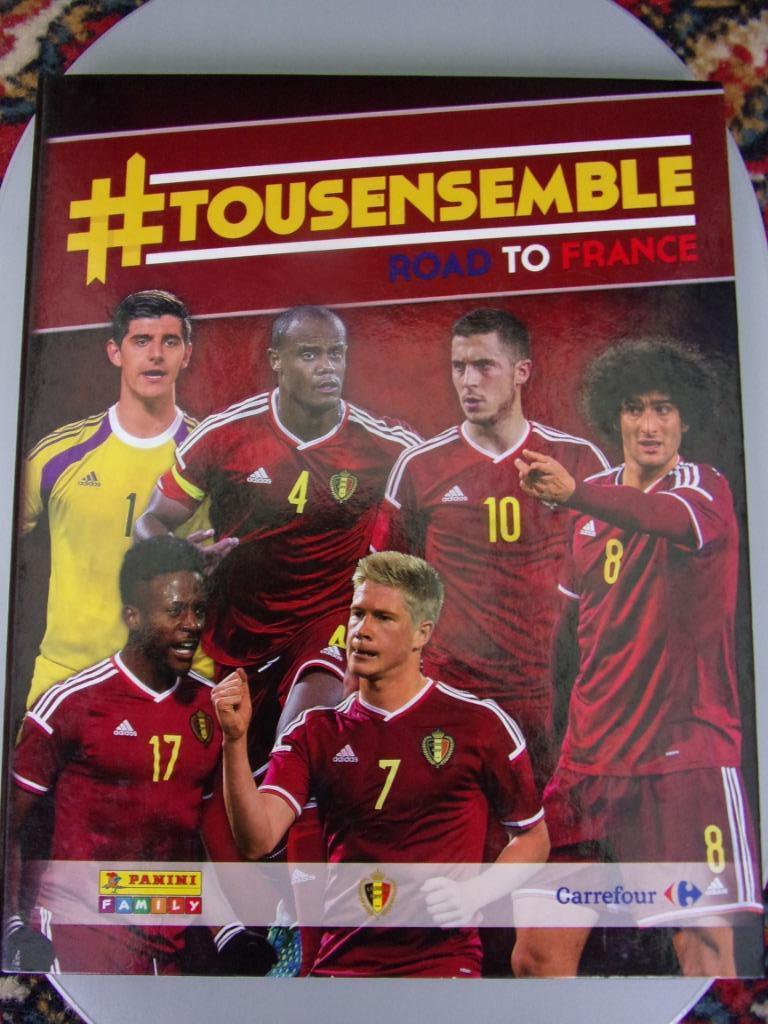 Panini #Tousensemble Road to France 2016, Ophalen of Verzenden, Zo goed als nieuw, Overige typen