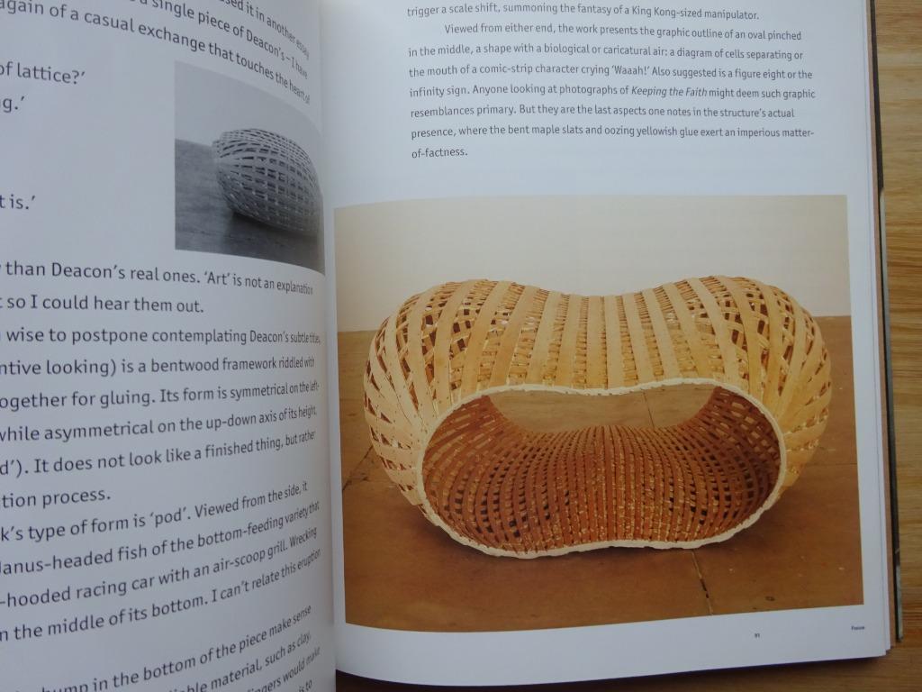 Richard Deacon, Monography Phaidon, 1995, Ophalen of Verzenden, Zo goed als nieuw, Beeldhouwkunst
