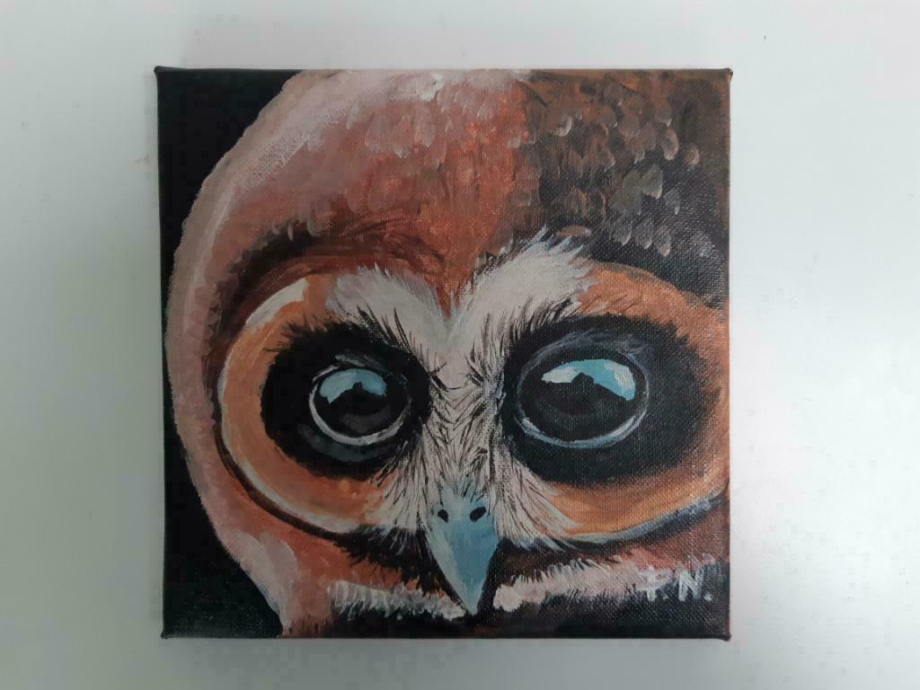 Handgeschilderd schilderij 20x20 cm uil, Antiek en Kunst, Ophalen of Verzenden